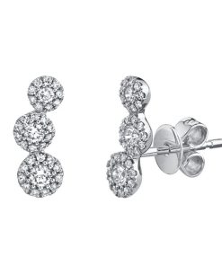Trepadoras Triple Flowers
