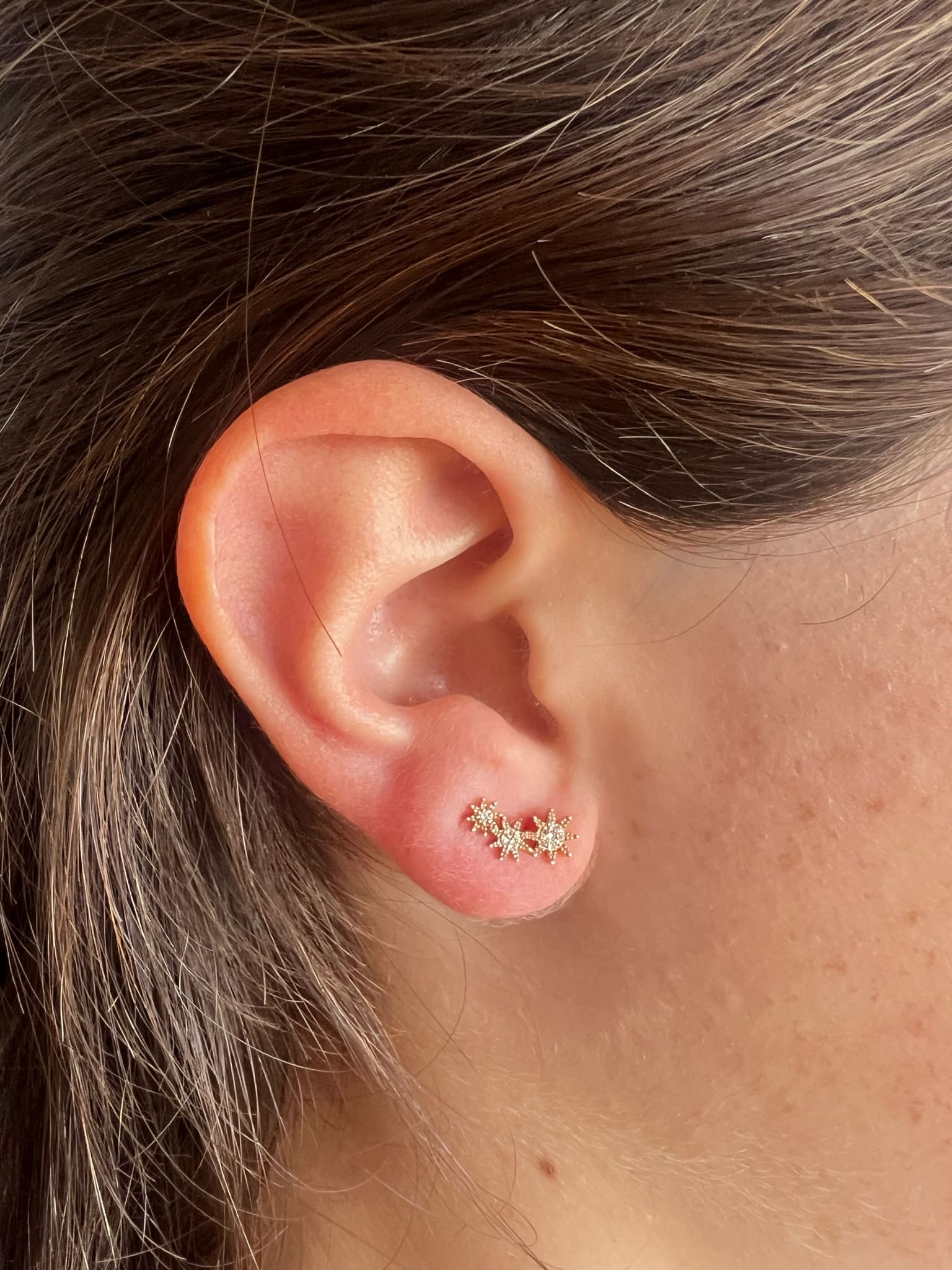 Aros-Trepadoras-Triple-Sun-Rose