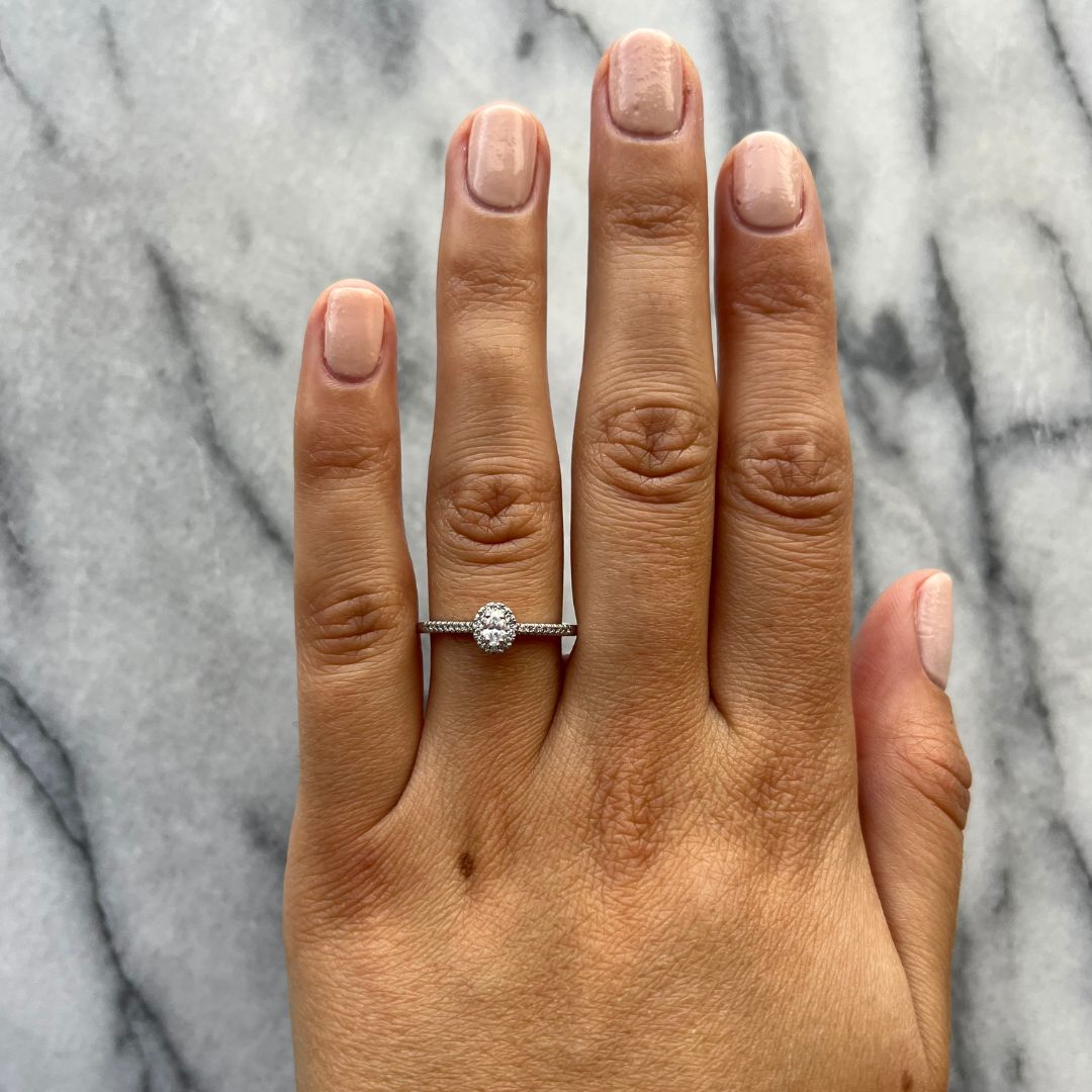 solitario-oval-halo-petit-2