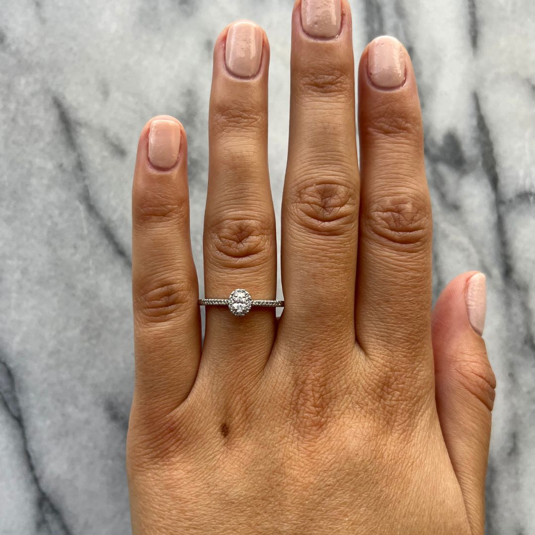 solitario-oval-halo-petit-3